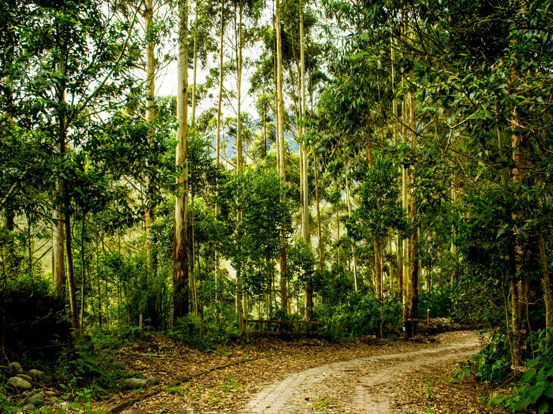 Ulbilla Hosteria主图