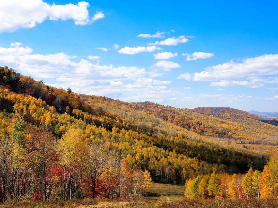 长白山万达锦华度假酒店主图