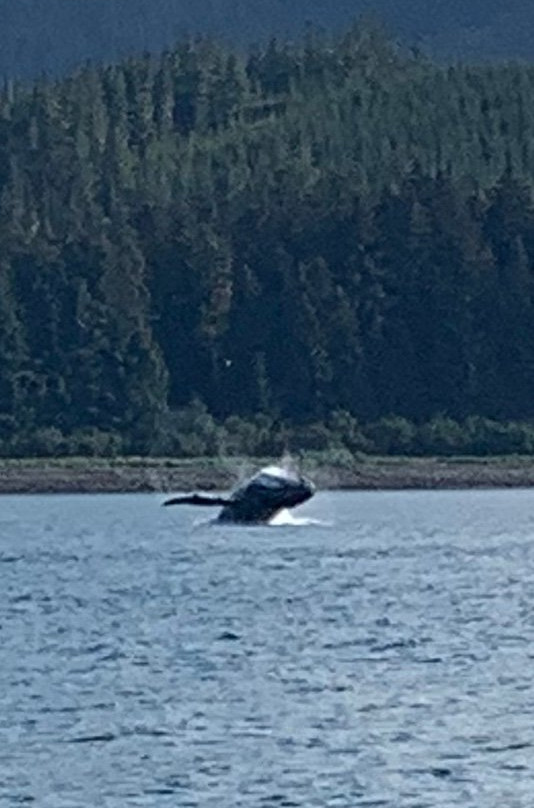 Hoonah Travel Adventures-胡纳必去景点