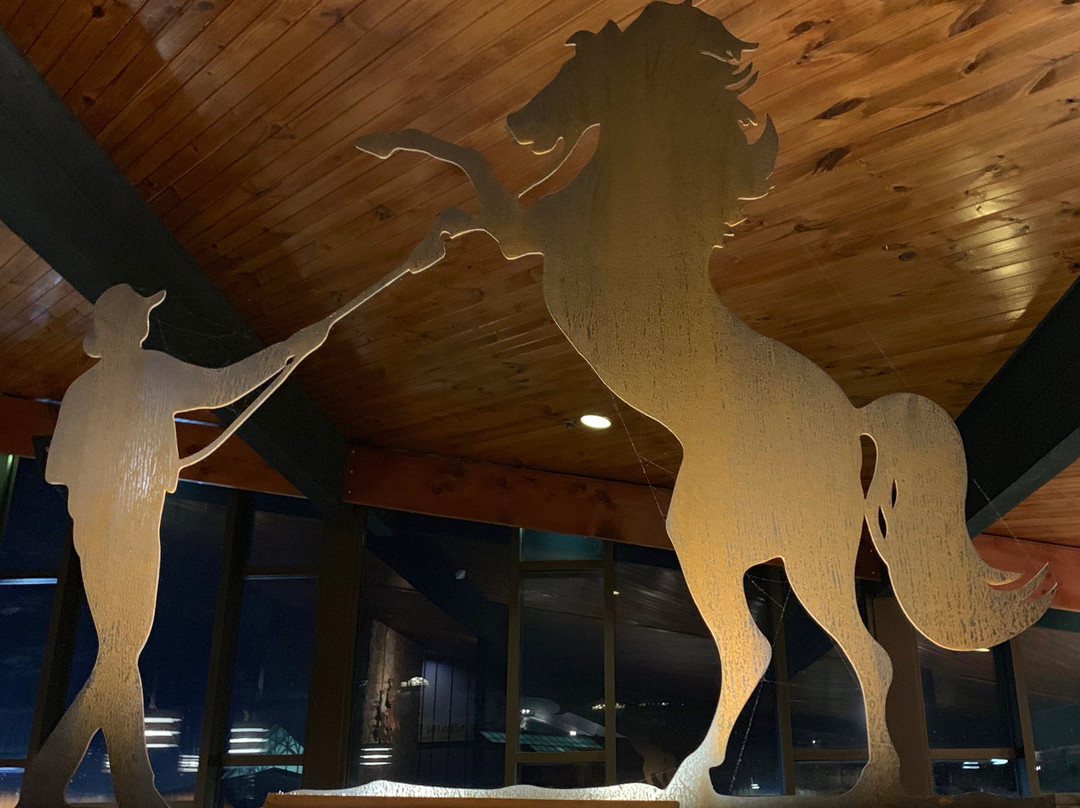 The Man From Snowy River Hotel主图