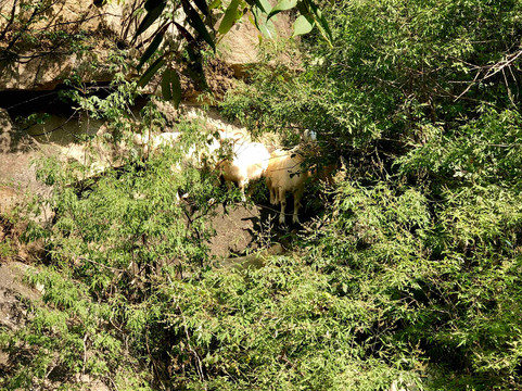 密云龙云山-北京市必去景点