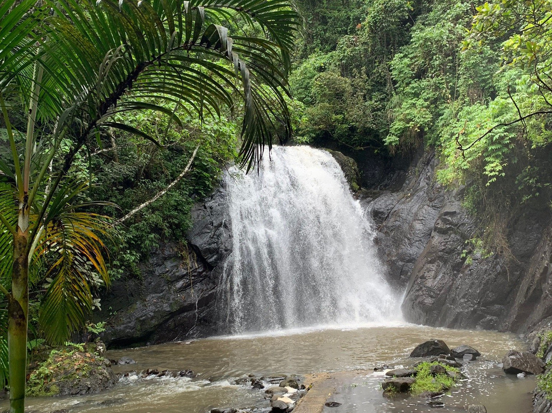 Vuadomo Village and Waterfall景点图片