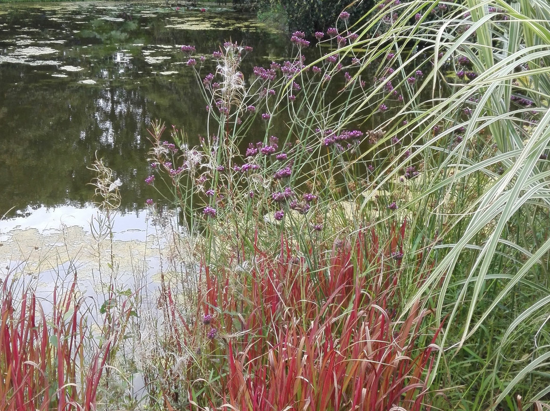 Les Jardins des Renaudies景点图片