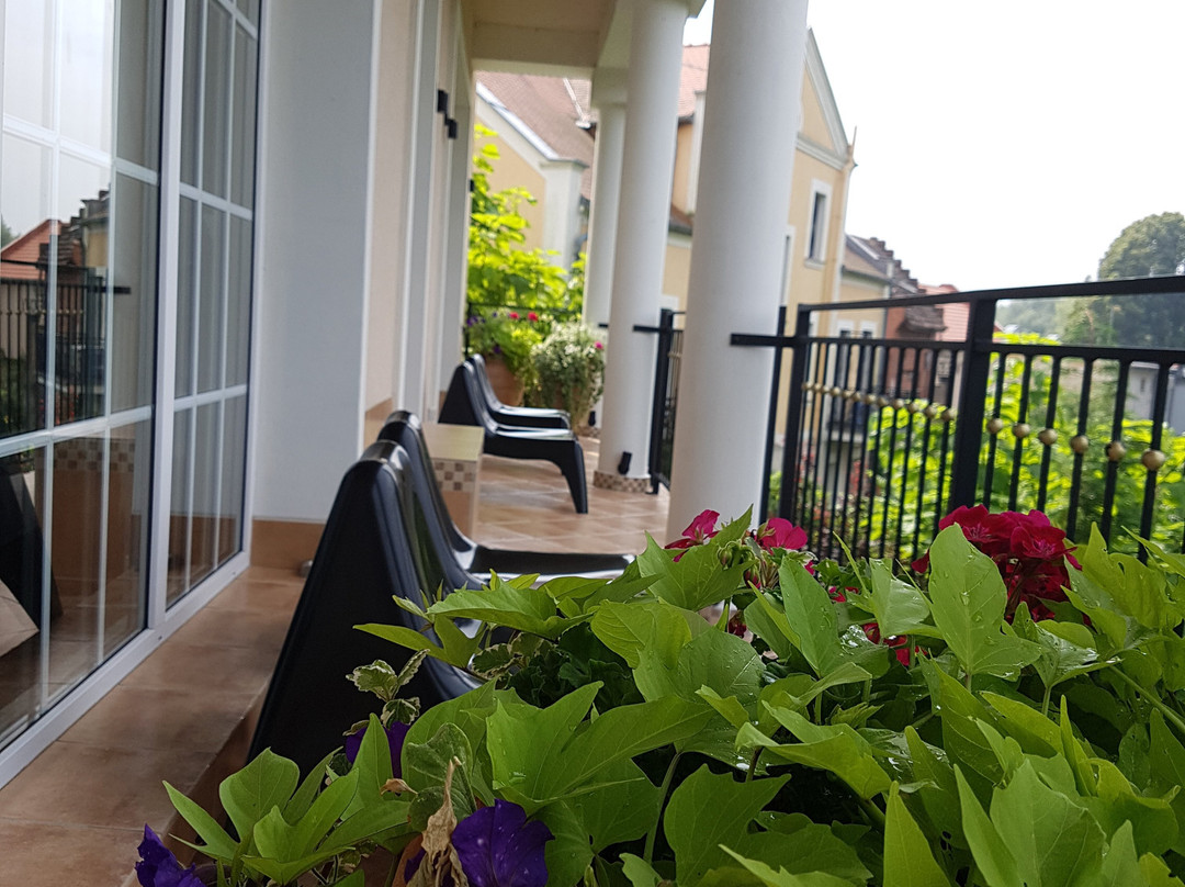 Summertime Suites