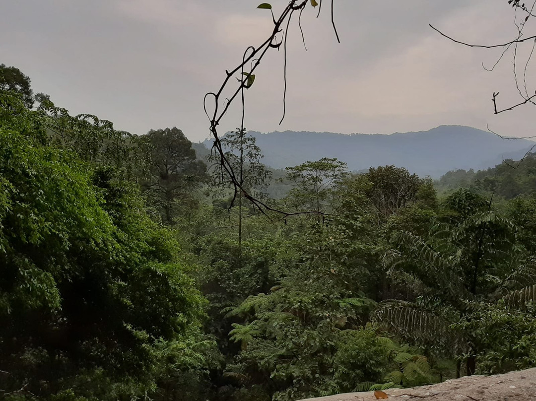 Saloma Villagestay主图