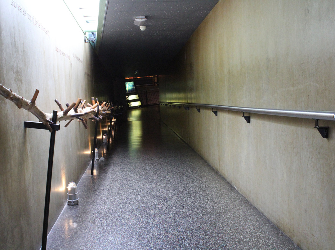 Het Museonder in Nationaal Park de Hoge Veluwe-奥特洛必去景点