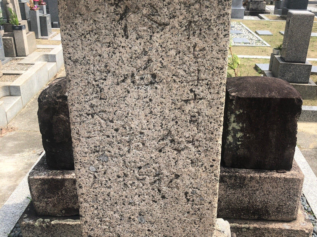 Yachuji Temple-羽曳野市必去景点