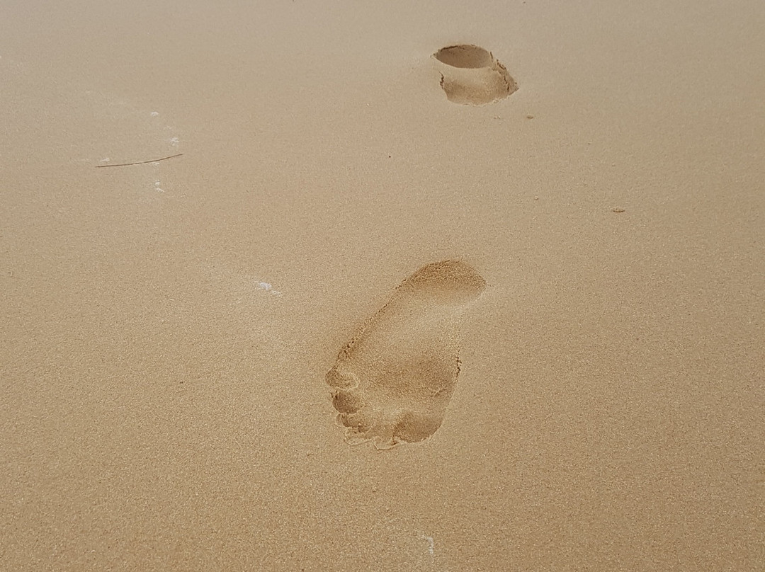 普吉岛生活健康排毒中心度假村主图