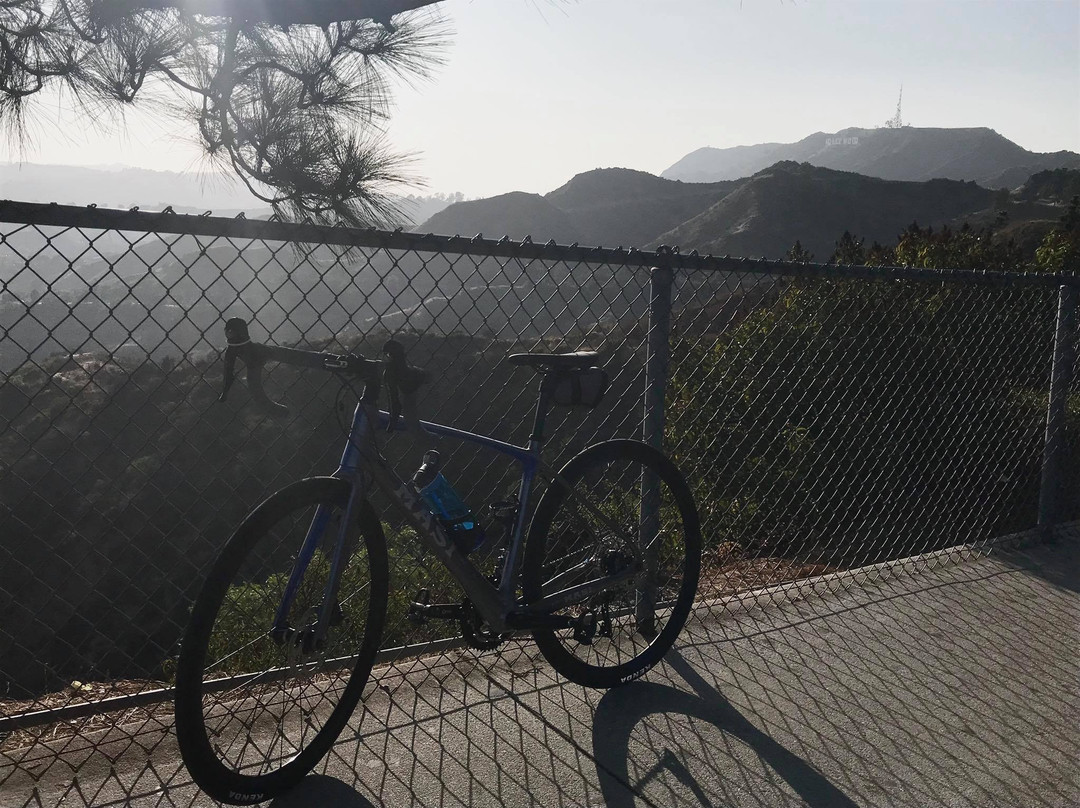 Synaptic Cycles Bicycle Rentals-德纳角必去景点