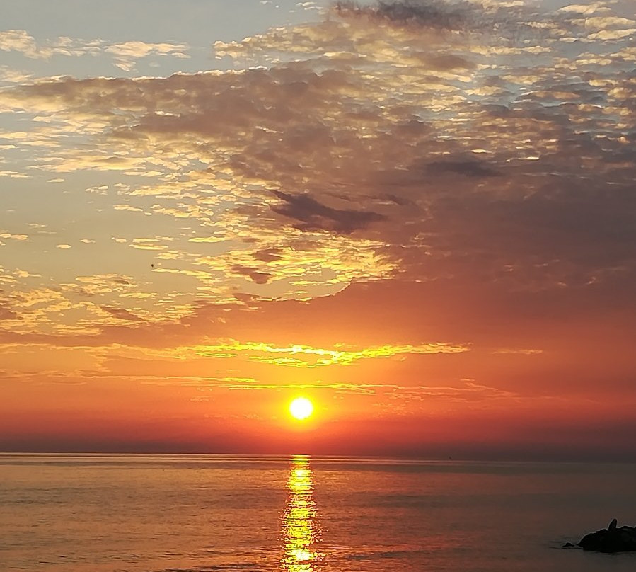 Terrace Brothers Bruno and Gillo Pontecorvo-Marina di Pisa必去景点