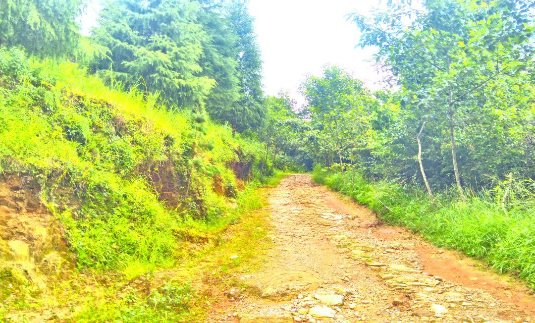 Shivapuri Village主图