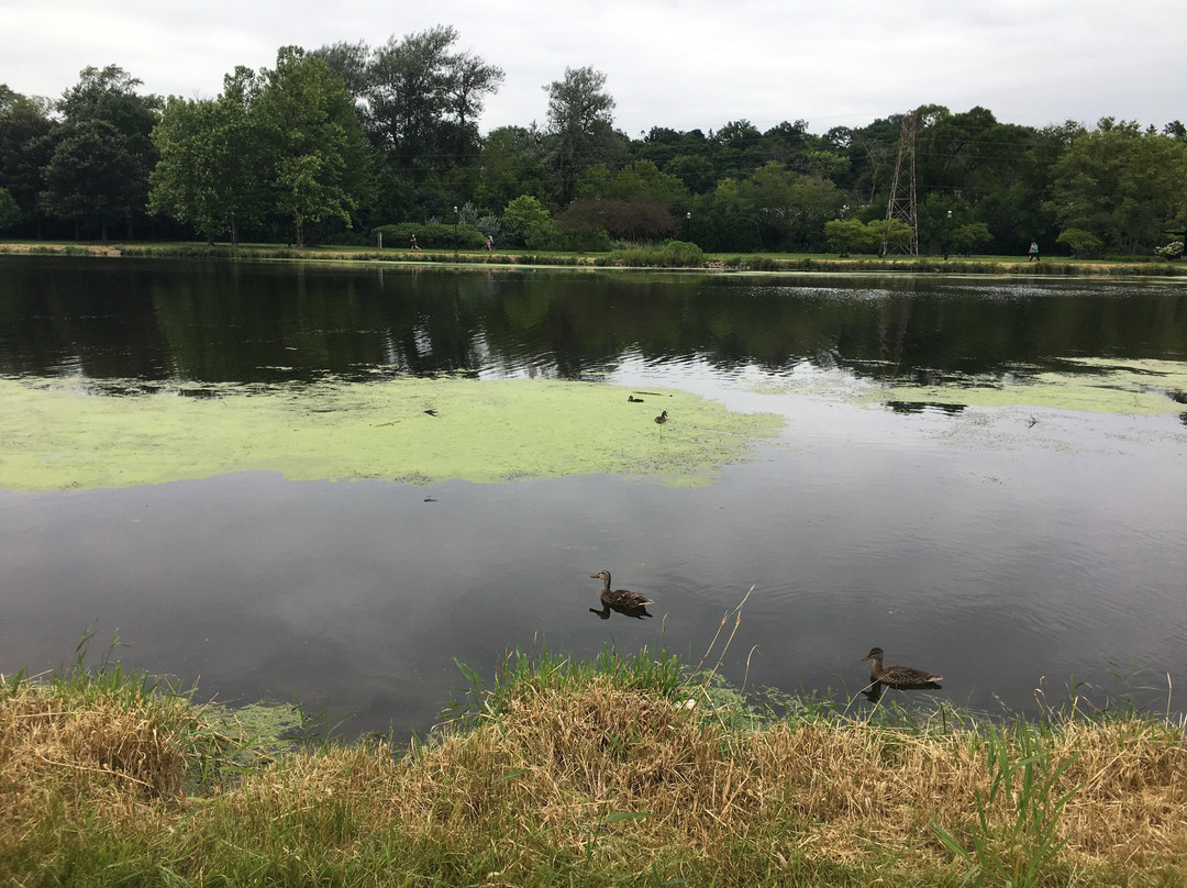 Frame Park-沃基肖必去景点