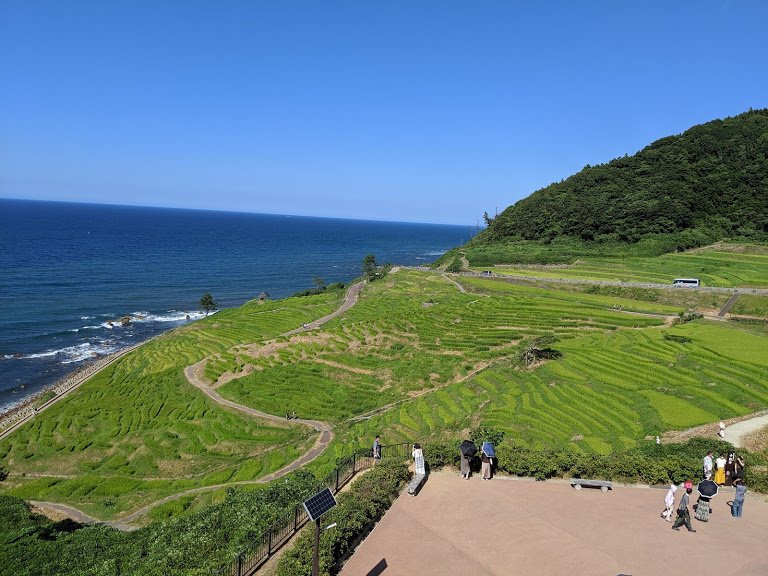 Michi-no-Eki Senmaida Pocket Park景点图片