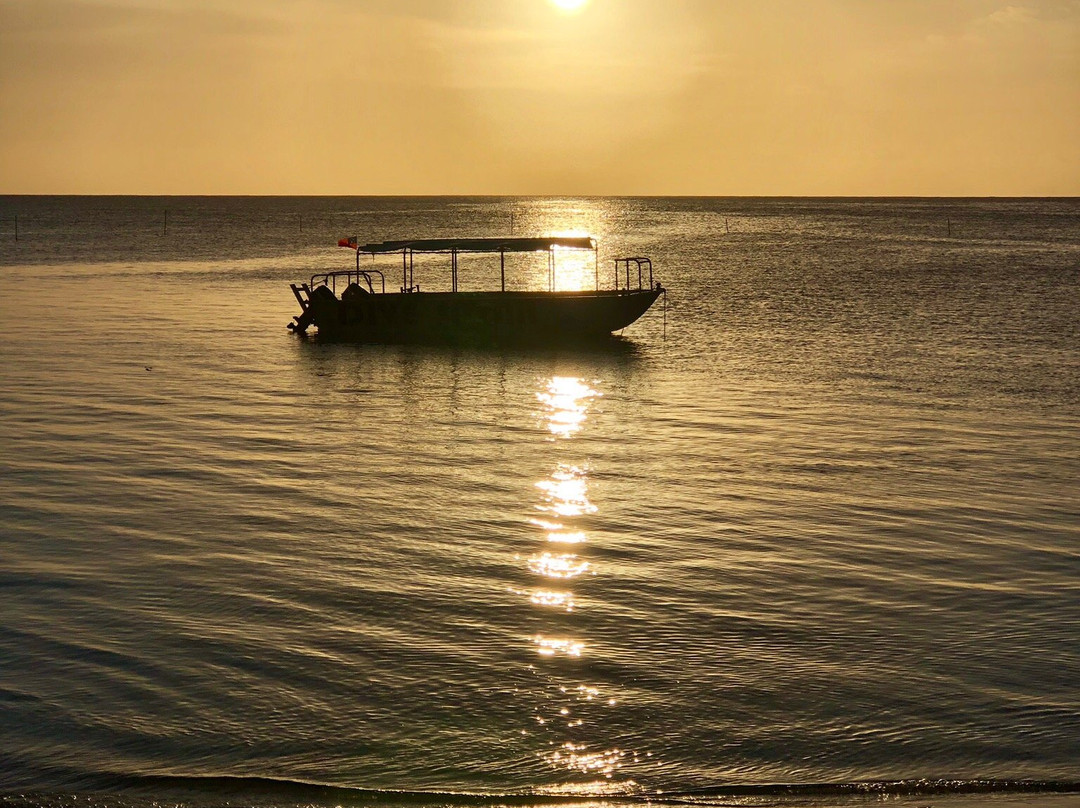 Dive Savaii-法加马洛必去景点