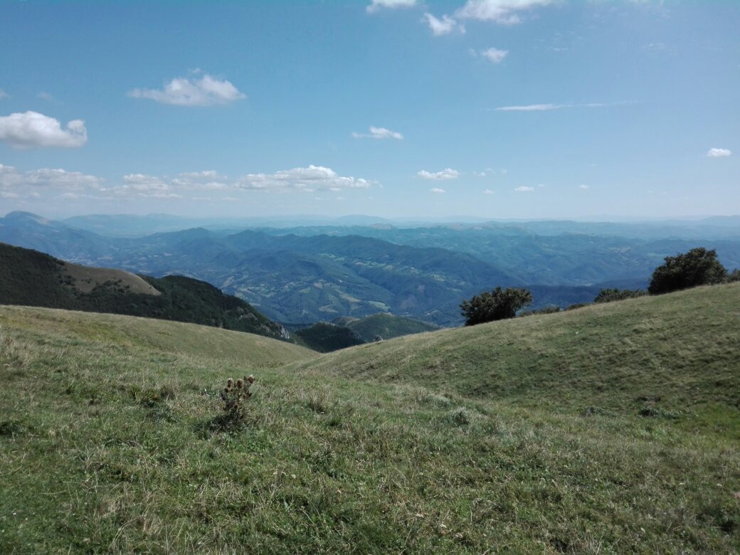 Monte Nerone-Apecchio必去景点