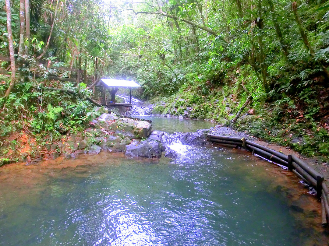 Kay Services Tour-Nausori必去景点