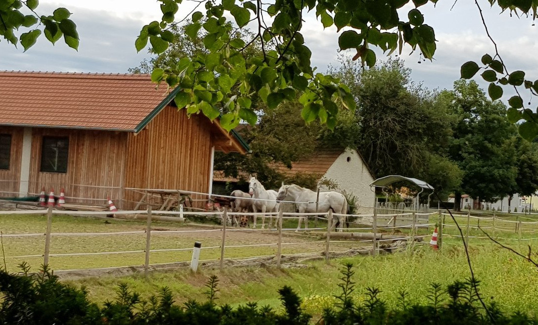Hotel Garni Landhaus Florian主图