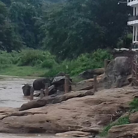 Pinnawala Handicrafts Emporium-品纳维拉必去景点