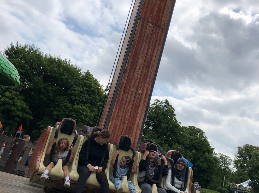 Speelpark Oud Valkeveen景点图片