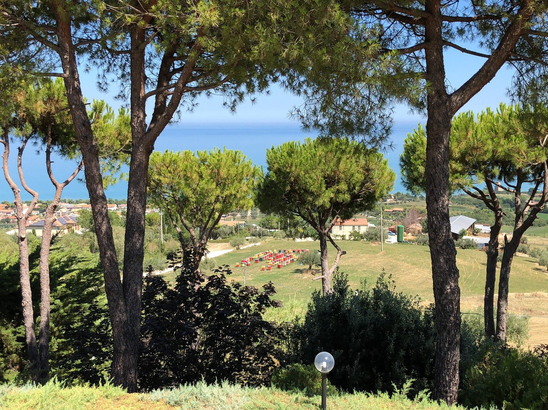 Casale Adriatico B&B主图