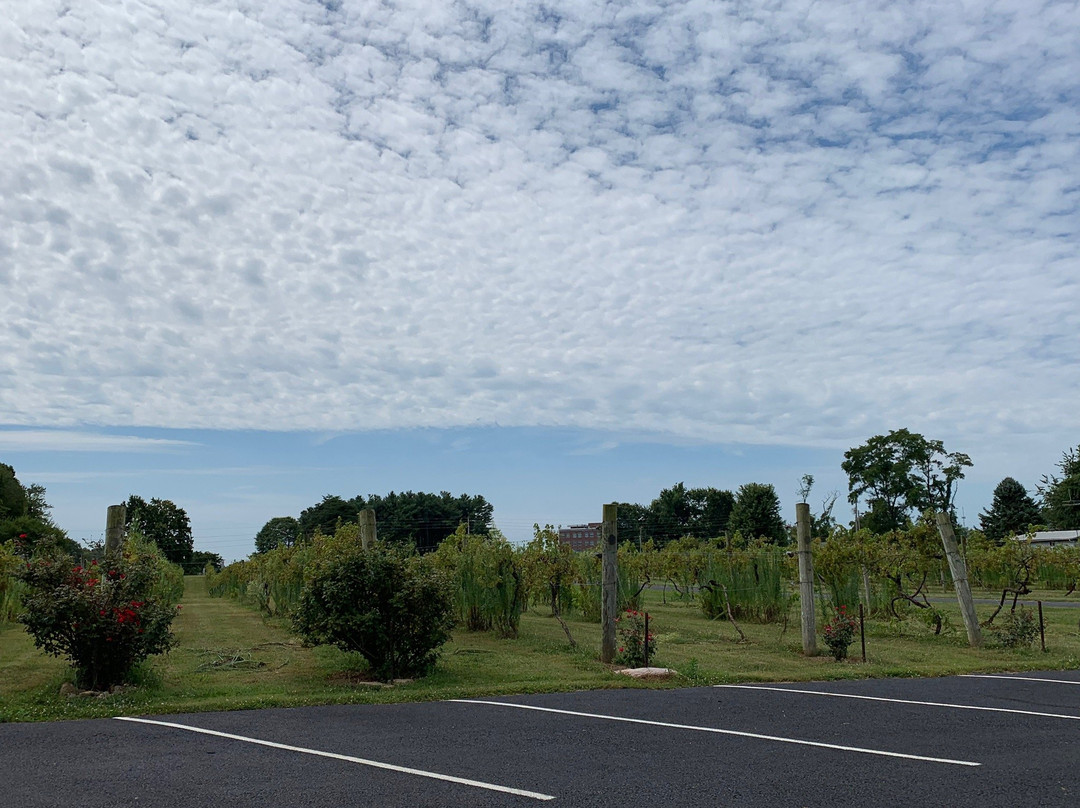 Madison Vineyards B&B主图