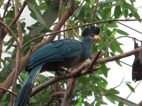 Cathie Tour Guide Uganda-恩德培必去景点