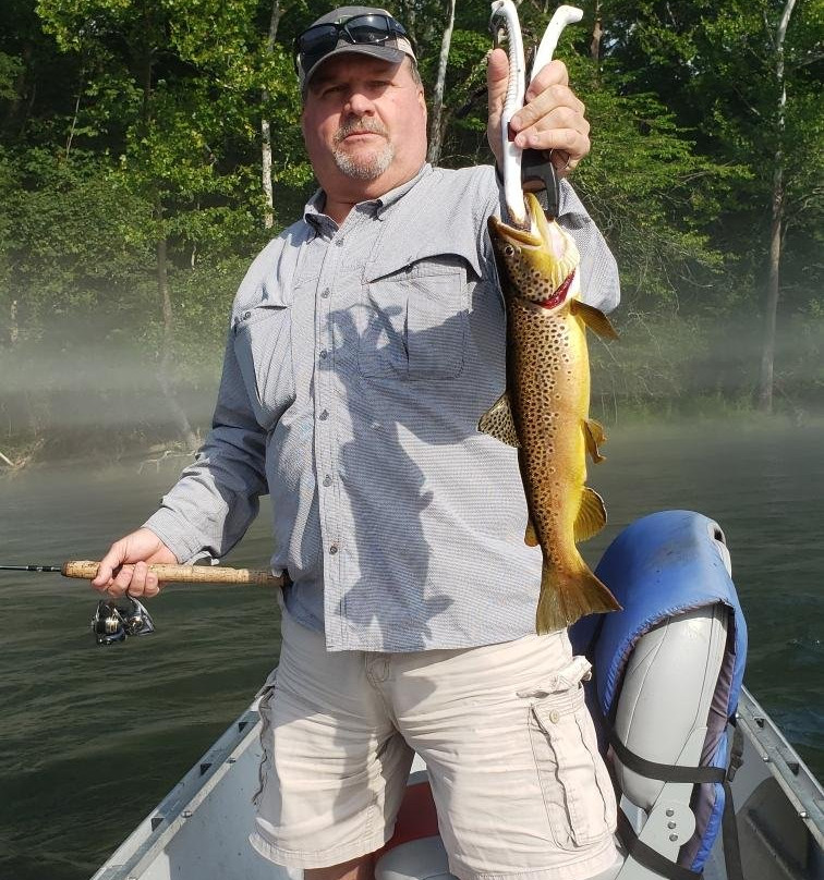 Gaston's White River Resort主图