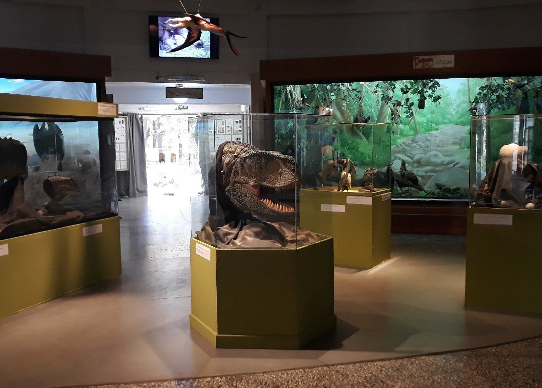 Museo de Ciencias Naturales景点图片