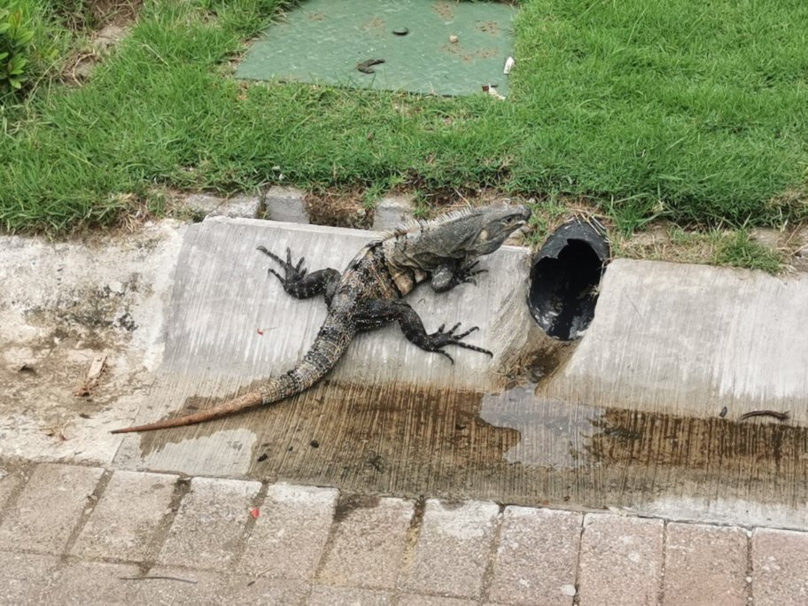 Hermosa Palms B&B主图