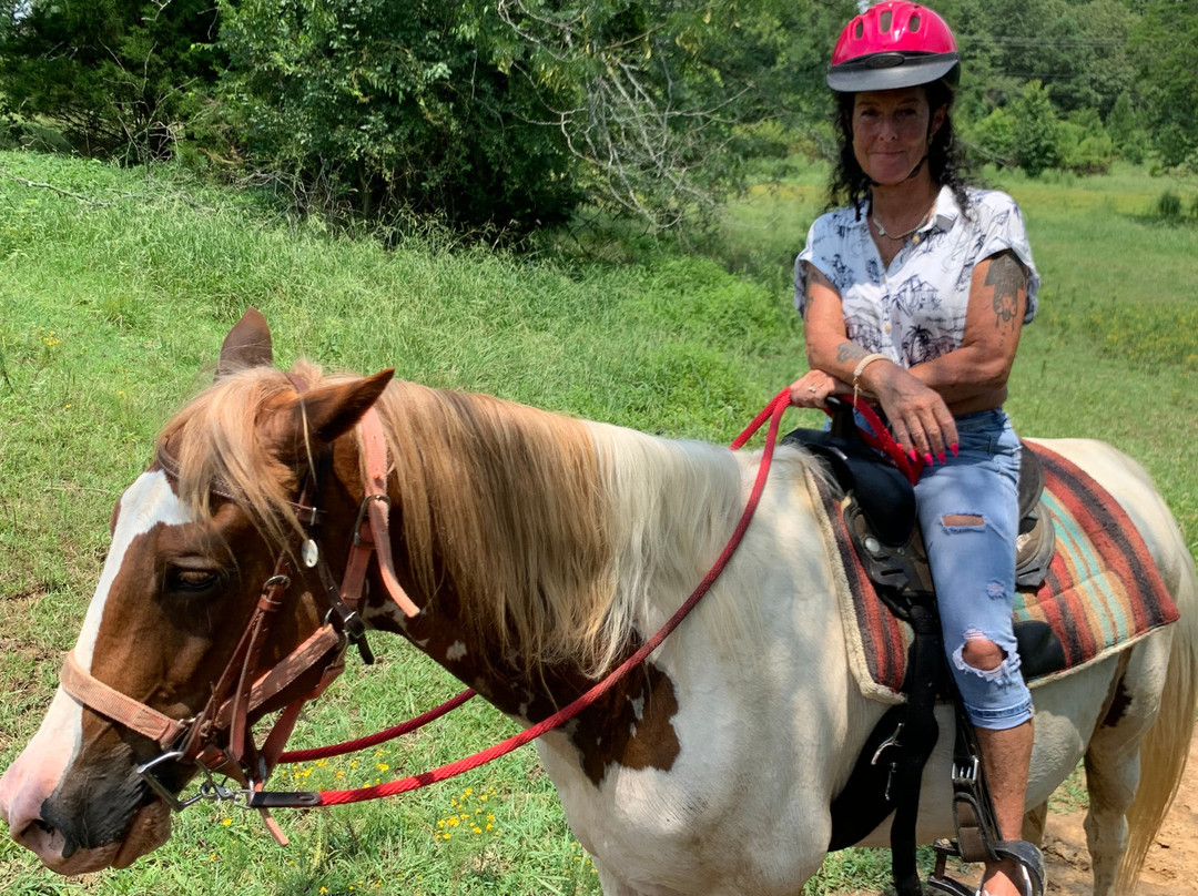 Shelby Farms Park-孟菲斯必去景点