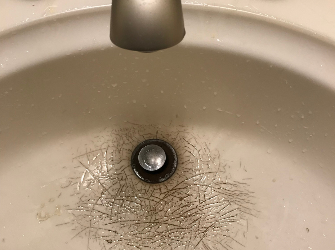 Sonoma Coast Villa主图