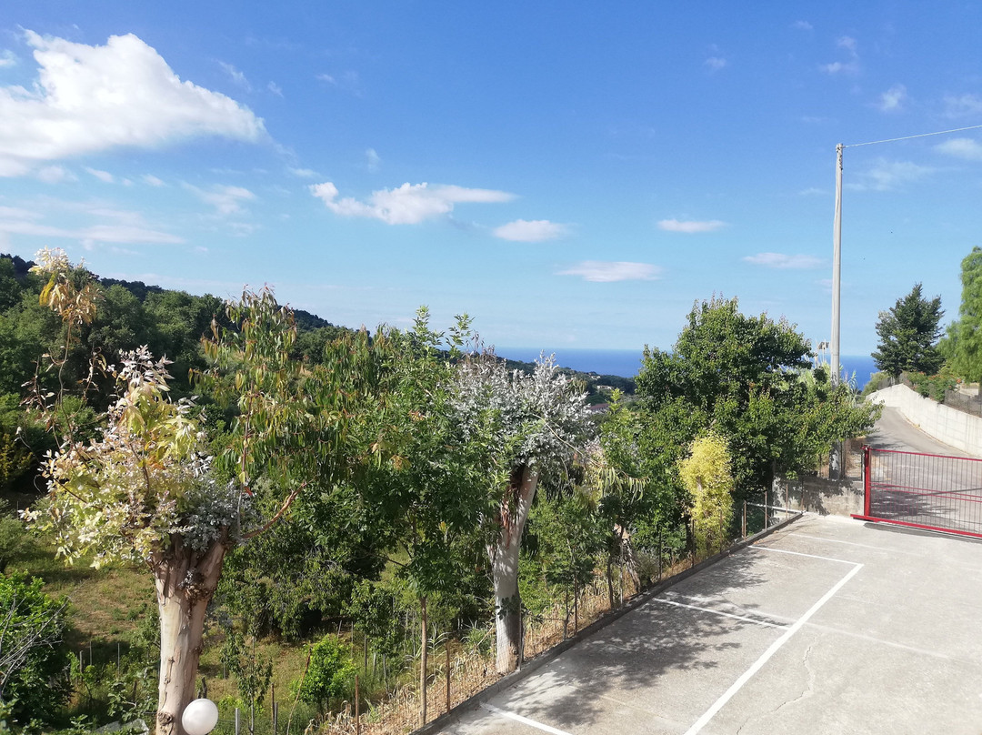 Colibri - Guest Rooms主图