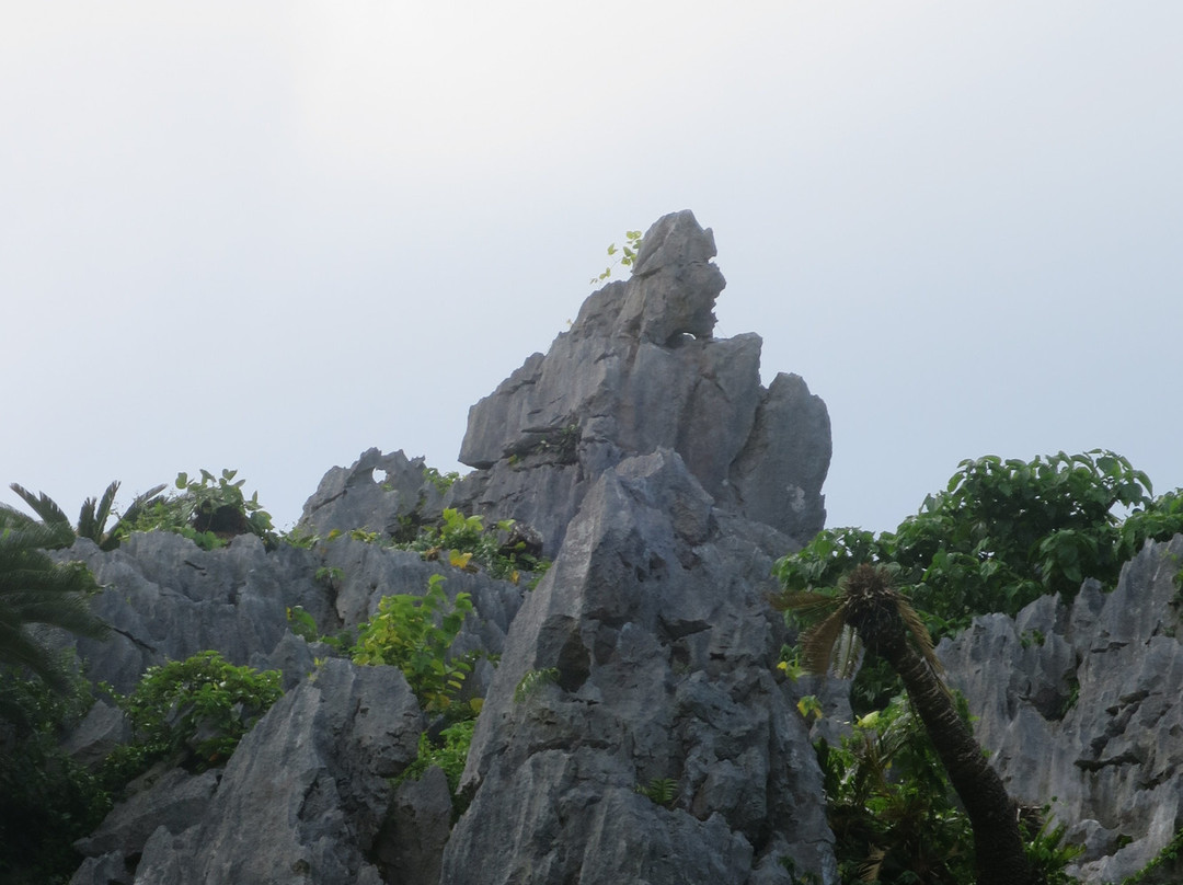 ASMUI Spiritual Hikes景点图片