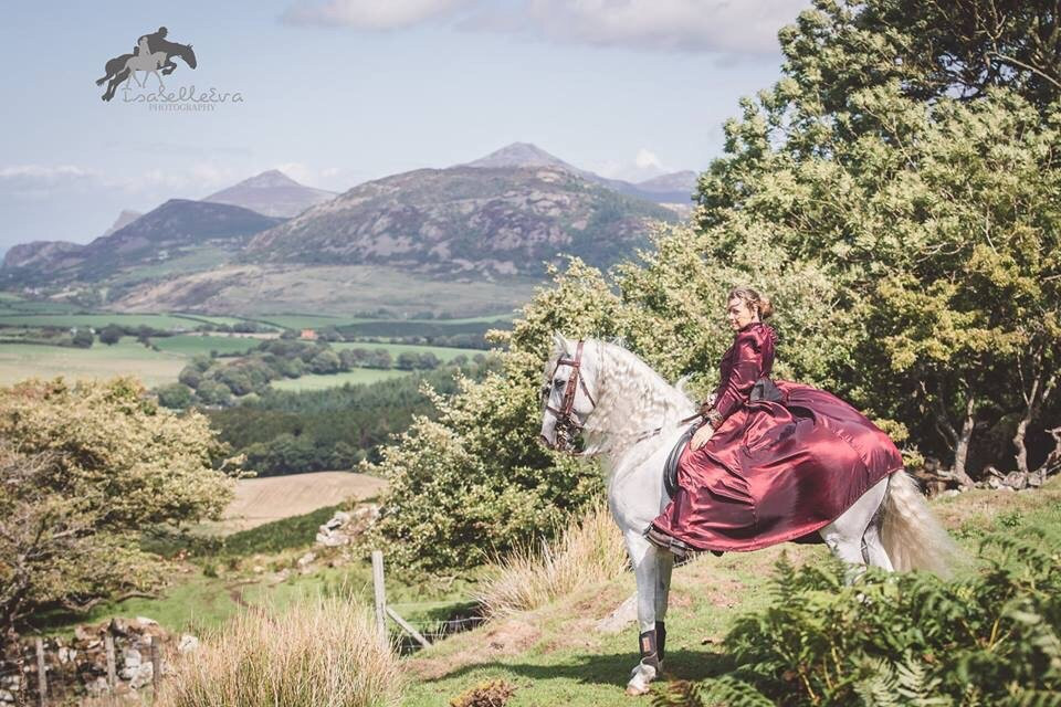 Pen Llyn Lusitano Stud and Riding Centre景点图片