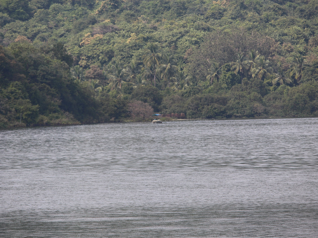 Dhamapur Lake景点图片