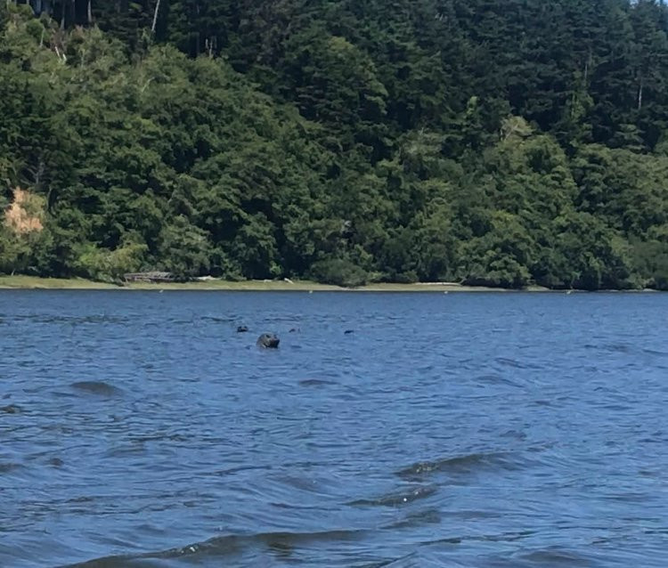 Rain Recreation-Waldport必去景点