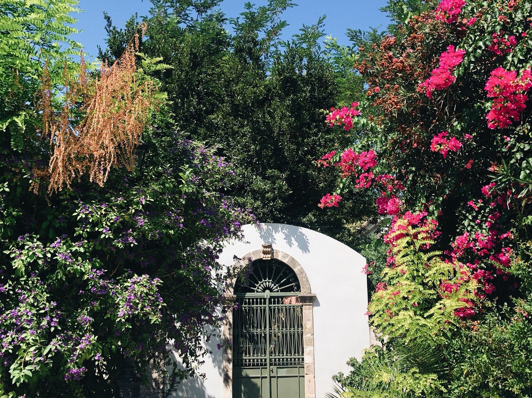 Panem Day Trips-Lassi必去景点