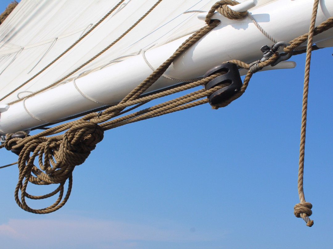 Sail Priscilla-Oakdale必去景点