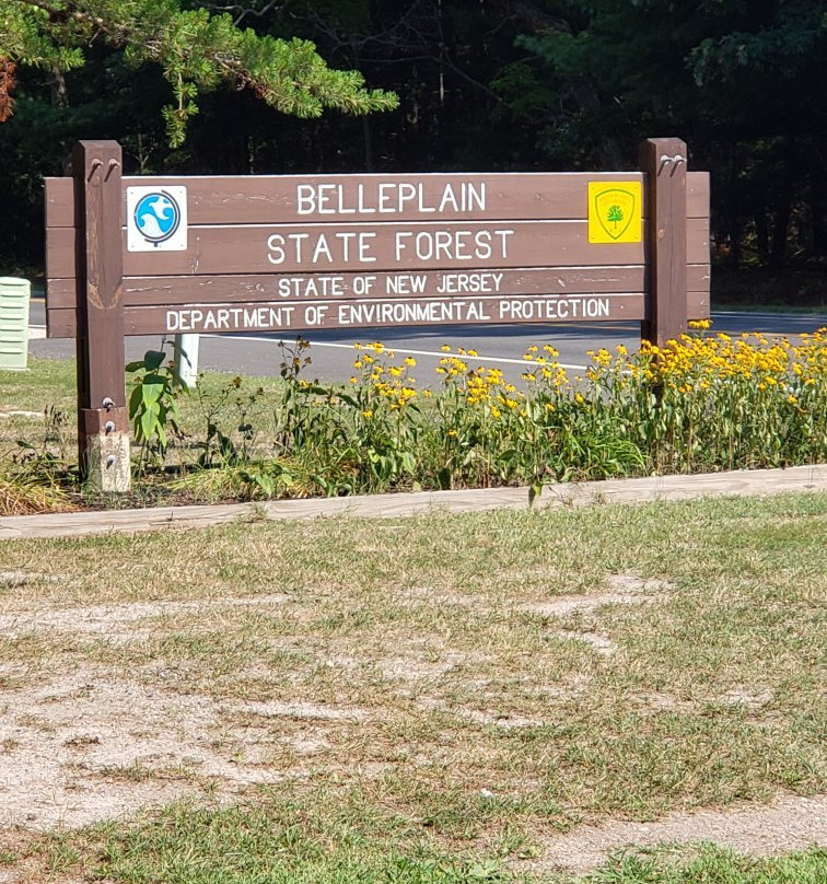 Belleplain State Forest景点图片