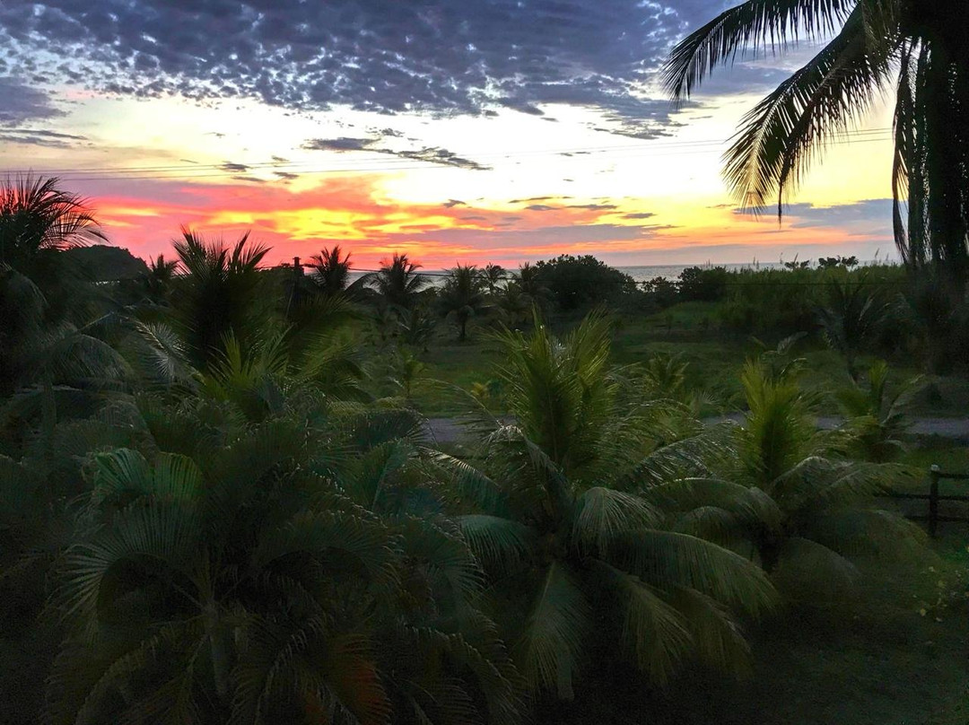 Hotel Nuquimar主图