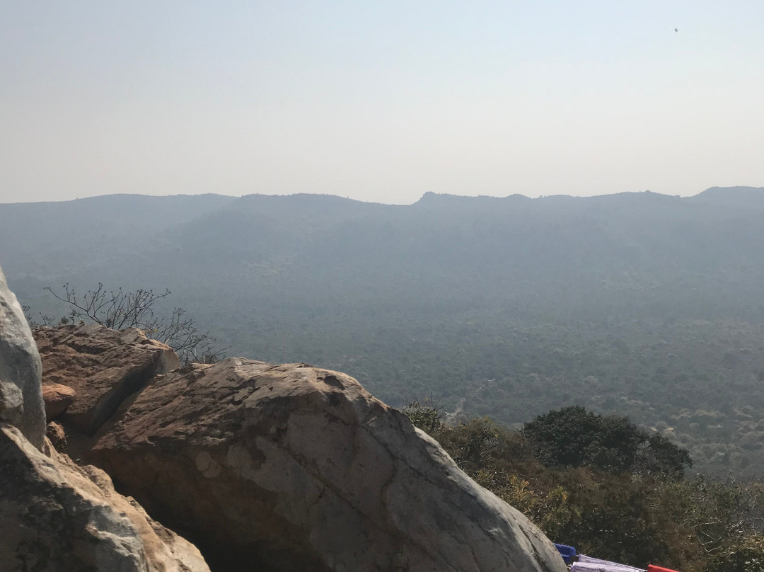 Rajgir Wildlife Sanctuary-Nalanda必去景点