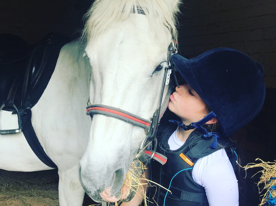 Ride High Equestrian Centre景点图片