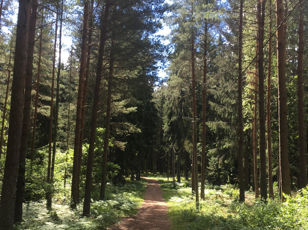 Båsenberga friluftsområde