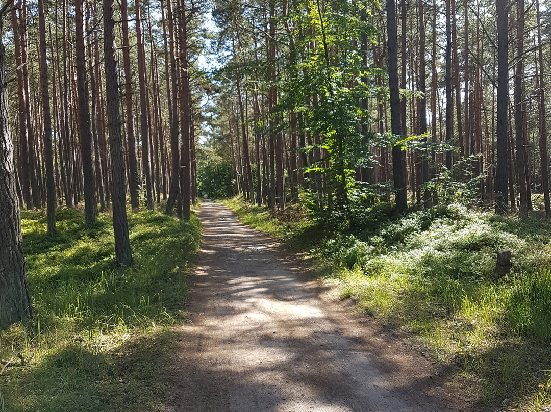 Western Pomerania Lagoon Area National Park景点图片