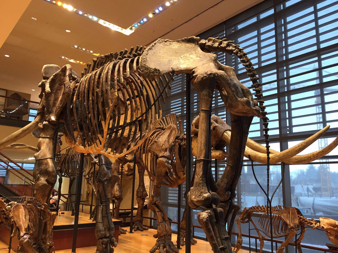 Amherst College Museum of Natural History-艾姆赫斯特必去景点