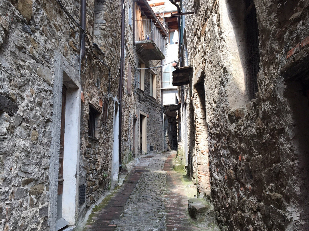 Castello della Lucertola景点图片