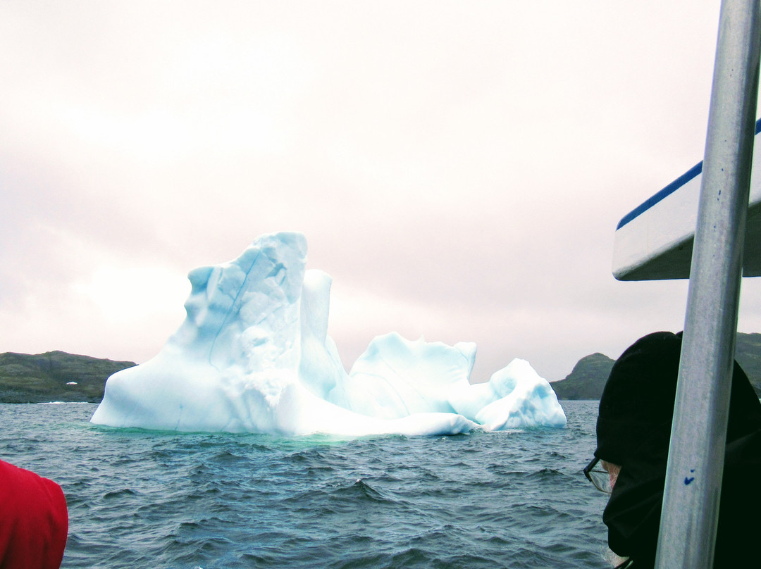 Northland Discovery Boat Tours景点图片