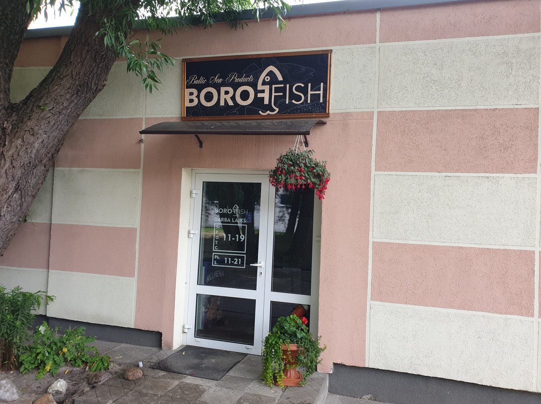 Boroffish