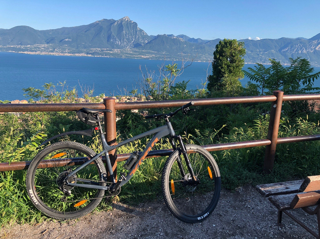 Bella Bici - Bike & Vespa Rental景点图片