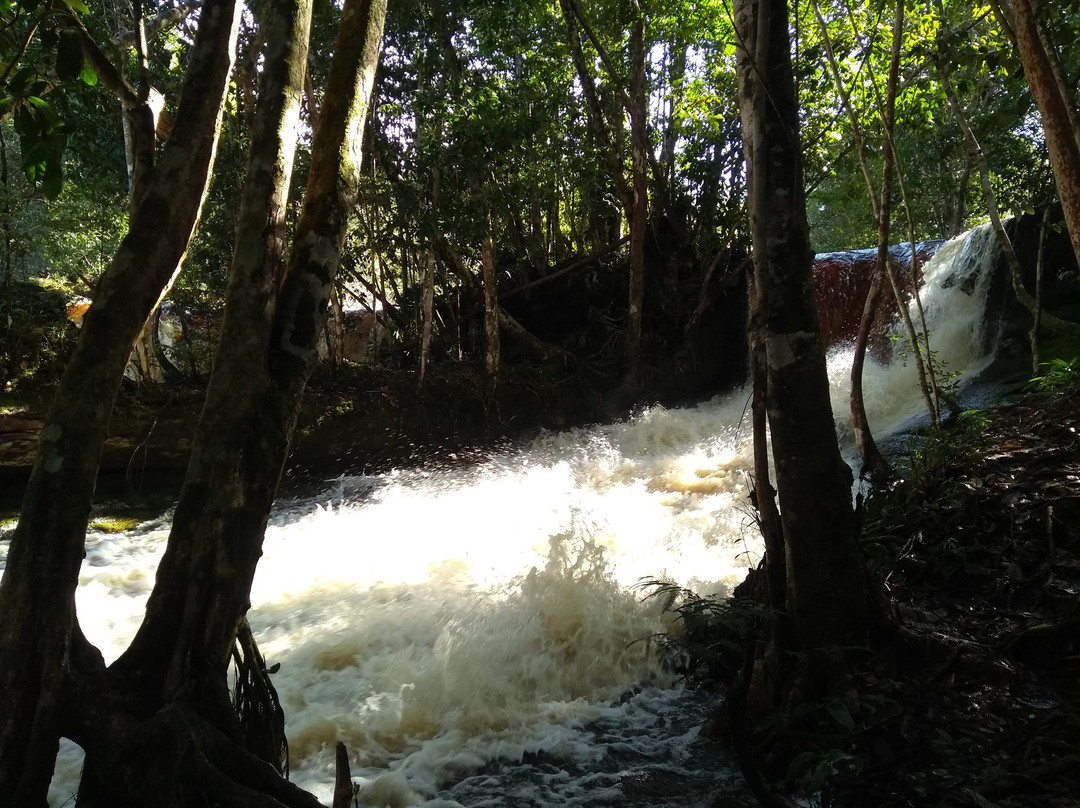 Cachoeira das Araras景点图片